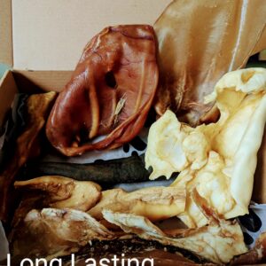 Long Lasting Treat Box