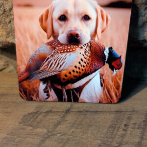 Yellow Labrador Coaster