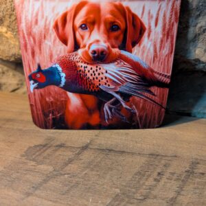 Fox Red Labrador Coaster