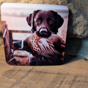 Black Labrador Coaster
