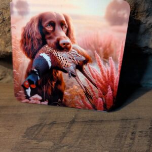 Chocolate Cocker Spaniel Coaster