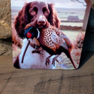 Liver & White Springer Spaniel Coaster