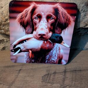 Liver Roan Sprocker Spaniel Coaster